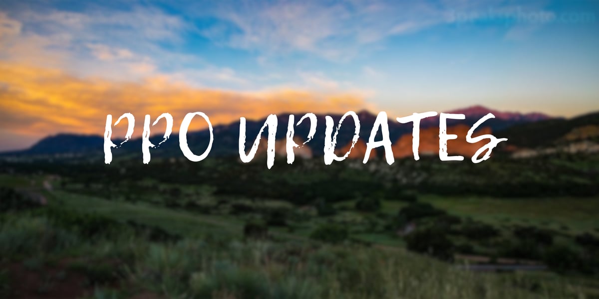 ppo updates