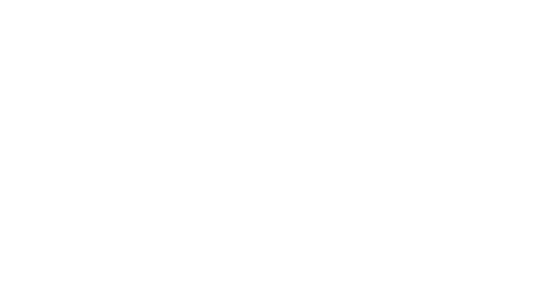 PPO-Logo-KO